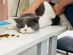 -萌兽医馆·眼科·异宠专科(三里屯店)