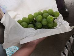 -马陆小张葡萄园农家乐