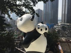 -嫩芽 ·地道重庆菜(十八梯露台夜景店)