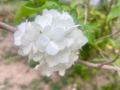 -天津自然博物馆