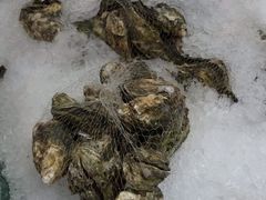 -盒马鲜生(岭南新世界店)