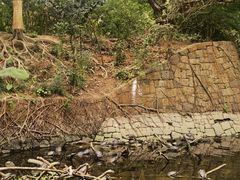 -九龙公园