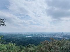 -紫金山山顶公园
