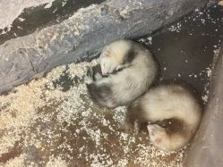 -Zoolung Zoolung动物主题公园(海信广场店)