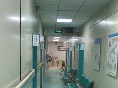 -北京观赏动物医院·24小时大型综合·猫专科·异宠专科