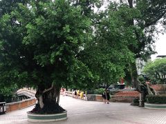 -潮镇老尾牛杂(环城西路店)