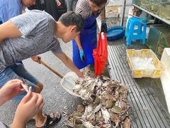 -芦潮港集贸市场