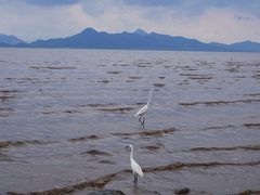 -深圳湾公园(南山区)