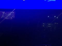 -bluefrog蓝蛙(悠唐购物中心店)