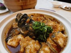 石锅龙胆鱼-悦秀大酒楼(江头店)