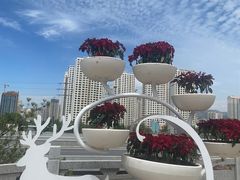 -青藏高原野生动物园