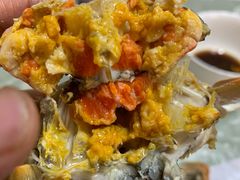 -黄记大闸蟹专卖店·活蟹·醉蟹
