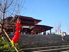 -大湾区中央湿地公园