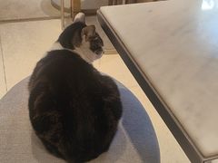 -Peet's Coffee皮爷咖啡(豫园店)