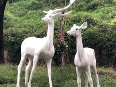 -白鹿原影视城