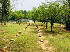 -盘龙城国家考古遗址公园