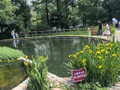 -成都市活水公园