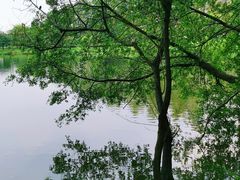 -松山湖风景区松湖烟雨