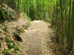 -井空里大峡谷