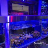 深圳最好吃的海鲜