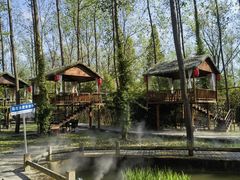 -合肥滨湖国家森林公园