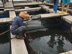 -海上驿站渔家菜馆