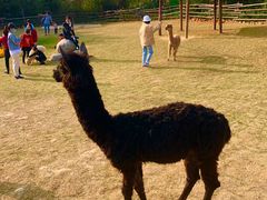 -泉州海丝野生动物世界