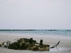 -贝壳沙滩