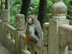 -黔灵山公园