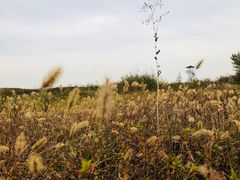 -青岛银沙滩