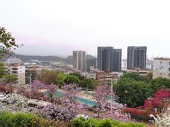 -小南山公园
