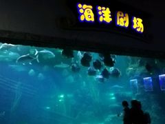 -南昌海洋公园