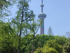 -南京古林公园