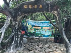 -南海湾森林生态园