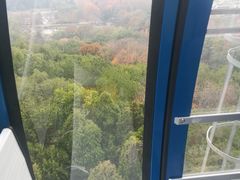 -东湖磨山景区