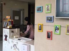 -谐和益家动物医院·免疫绝育·血液透析·宠保定点医院(高新伊藤分院)
