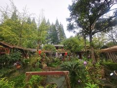 -青城甲(青城山店)