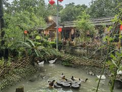 -青城甲(青城山店)