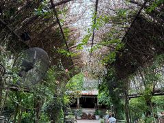 -The Grounds of Alexandria