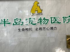 -半岛宠物医院24小时(科华中路店)