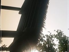 -福田红树林生态公园