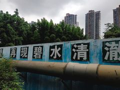 -重庆彩云湖湿地公园