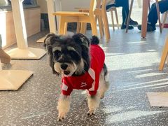 -小意思咖啡店(草桥店)