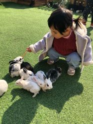 -萌宠亲子动物乐园(槐房万达店)