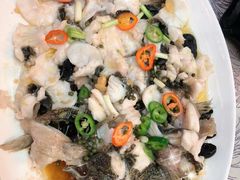 青花椒蒸笋壳鱼-有腥气私房菜·寻味顺德