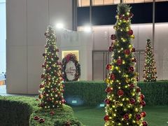 -安南越南餐厅(青岛万象城店)