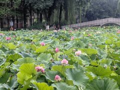 -西南交通大学(九里校区)