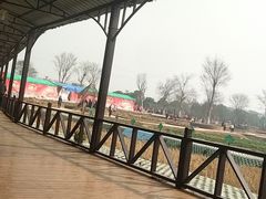 -武汉紫薇都市田园