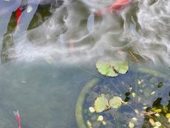 -濮园 · 四合院餐厅