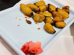 -了能菜·传统特色粤菜·虫宴